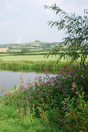 Photograph by Phil Harding
